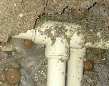 昆山测漏水多少钱