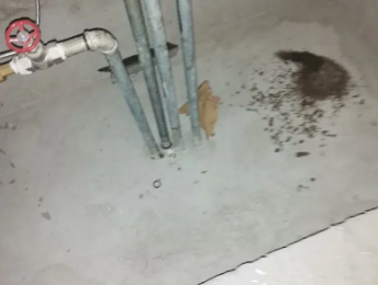 昆山卫生间测漏水价格明细